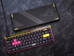 ROG Falchion Ace HFX ZywOo Edition Resmi! Keyboard Sang Juara CS2 yang Bikin Gamer Ngiler