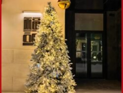 Foto Natal Jadi Lebih Meriah, Xiaomi Hadirkan Watermark Tematik Natal di HyperOS 3