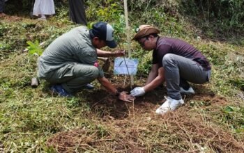 Program TESA Telkom Turun ke Cianjur, Tanam 150 Pohon Endemik demi Selamatkan Hutan