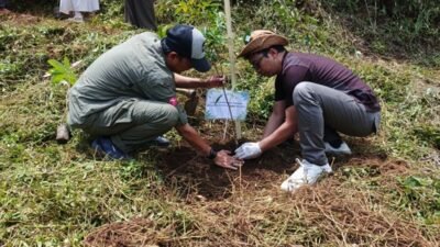 Program TESA Telkom Turun ke Cianjur, Tanam 150 Pohon Endemik demi Selamatkan Hutan